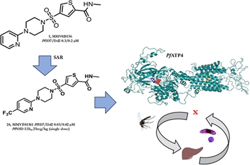 Identification of Compound 15 (MMV1581361) as a PfATP4 Inhibitor with Transmission-Blocking Activity and In Vivo Efficacy in a SCID Mouse Model of Malaria